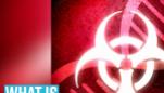 what-is-plague-inc