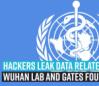hackers-leak-data-related-to-who-wuhan-lab-and-gates-foundation