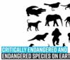 critically-endangered-and-endangered-species-on-earth