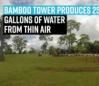 bamboo-tower-produces-25-gallons-of-water-from-thin-air