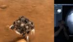 nasas-perseverance-rover-makes-historic-landing-on-mars