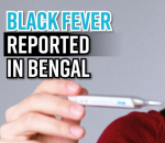 black-fever-reported-in-bengal-state-in-alert-as-cases-climb-to-65