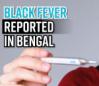 black-fever-reported-in-bengal-state-in-alert-as-cases-climb-to-65