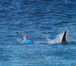 Man killed in shark attack